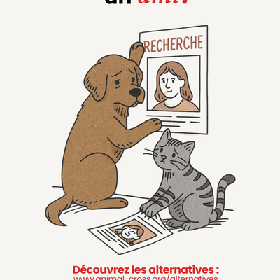 On n'abandonne pas un ami 