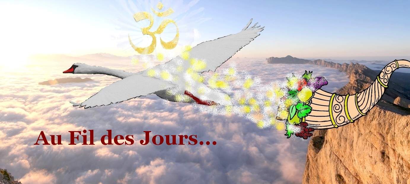 Header cover