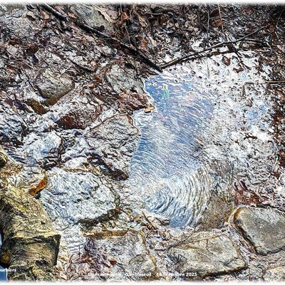 Boucle de 7 km à Gambaiseuil 