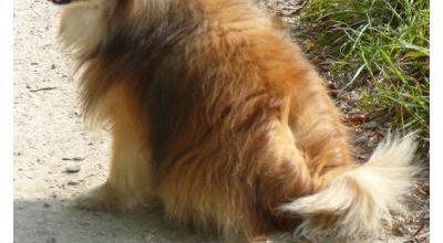 Mon petit Ugo - My little Ugo