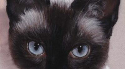Tableau du samedi : Le chat Ti Thai