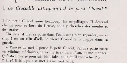 Le petit chacal et le crocodile     