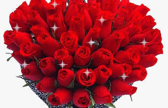 Quelques fleurs