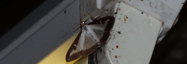 Au fil des jours, mon jardin