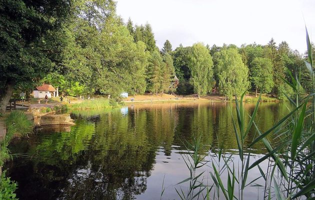 le lac de Bitche en Moselle