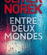 [Pdf/ePub] Entre deux mondes by Olivier Norek download ebook