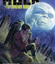 Free textile books download pdf Immortal Hulk Vol. 4: Abomination English version by Al Ewing (Text by), Joe Bennett