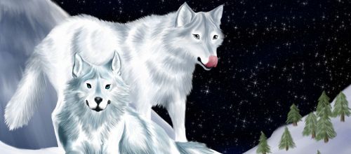 WIP#1 les loups: résultat final