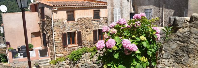 Dans les rues de Belgodère - Corse