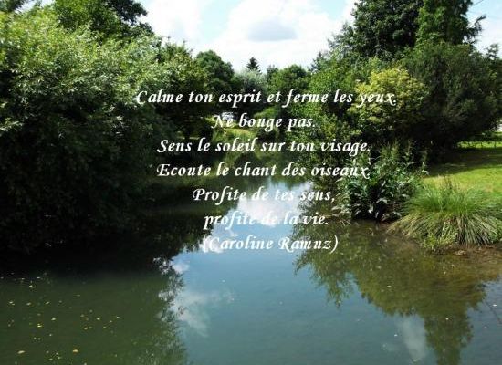 Citations en images : Calme ton esprit