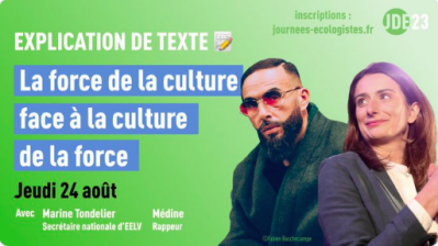 Culture : comment faire pousser des salades