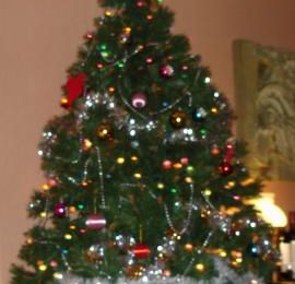 Il est encore beau le sapin...