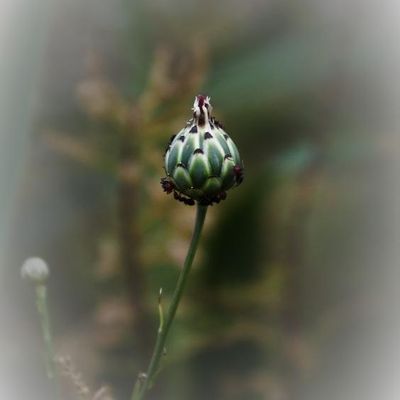 Exploration d'un bouton