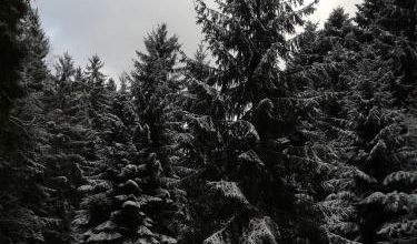 D’autres étoiles, un conte de Noël, Ingvild H. Rishøi, traduit du norvégien par Jean-Baptiste Coursaud (Mercure de France)