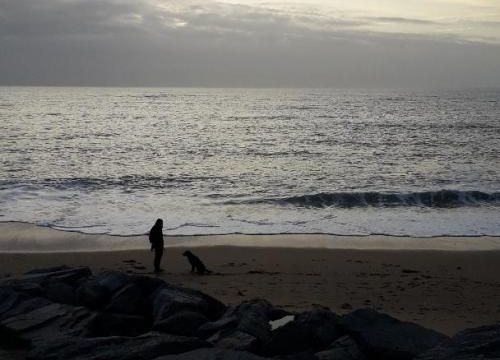 Plusieurs nuances de gris sur la mer !