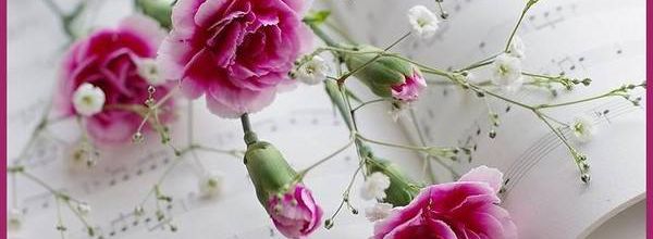 Citations hiver