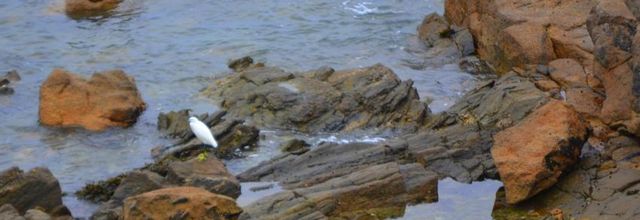 un coin tranquille 