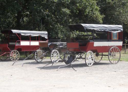 Promenade en calèche dans la campagne de bréca en Brière