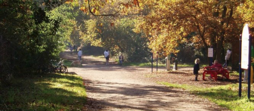 CR Marche douce vendredi 25 octobre 2019 BURCK