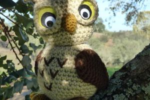 Dans la forêt lointaine.....