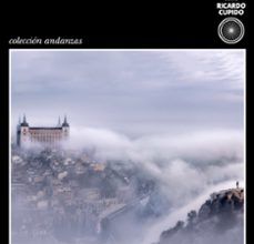 PIEDRAS NEGRAS (SERIE RICARDO CUPIDO) EUGENIO FUENTES ePub gratis