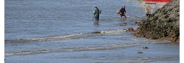 Pornic, les pêcheurs de crevettes