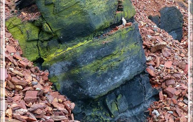 Les roches colorées de Smoking Hills (Smoking Hills's colorful rocks) - Cape Bathurst - Territoires du Nord-ouest - Canada