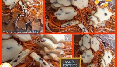 SABLÉS PÉPITES DE CHOCOLAT