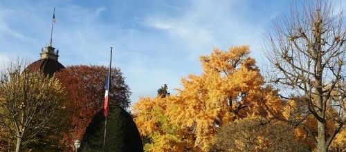 Strasbourg...