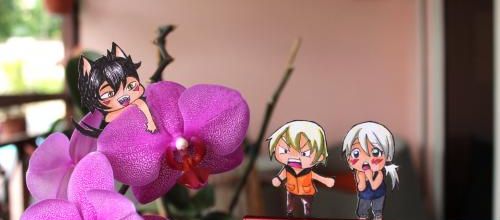 Trois personnages dans "Urufu" en chibi