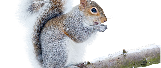Jeudi