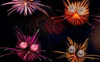 Attention aux feux d'artifice pour vos animaux
