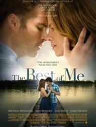 Critique: The Best of Me