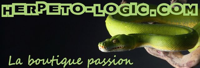 Liens des partenaires