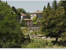 Balade au Jardin botanique de Montpellier...