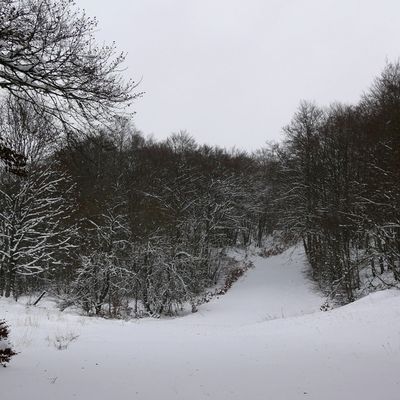 Le 21 novembre 2025 : Balade aux Plans d'Hotonnes à raquettes