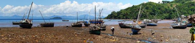 Un bonjour en vrac de Madagascar