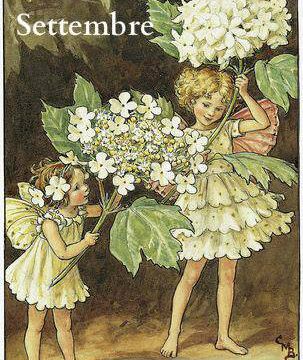 Sur le chemin de Brandu au mois de septembre