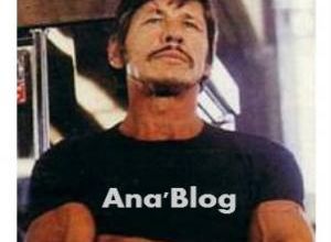 Un dernier anniversaire pour Ana'Blog. 