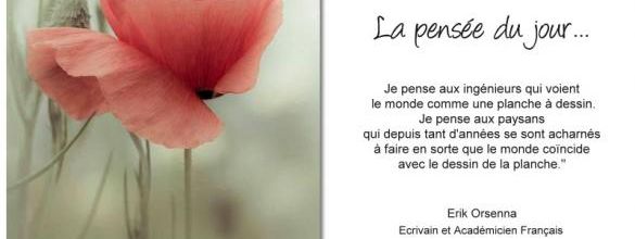 La pensée du jour (100)