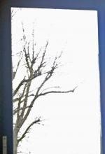 Chronique des jours d'automne - Chronicle of the autumnal days