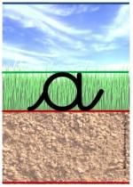 Des lignes "seyes" en couleur pour les CP
