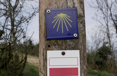 Le 17 mars 2024 : Balade impromptue