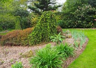 Un jardin à visiter 