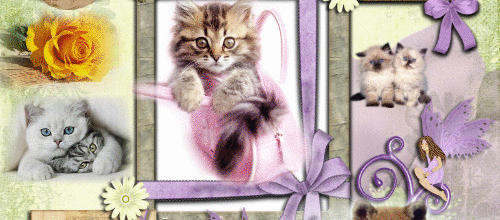 CREA ANIMAUX