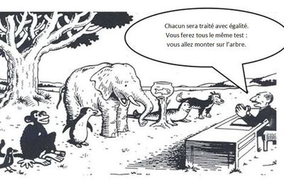 Egalité / Equité