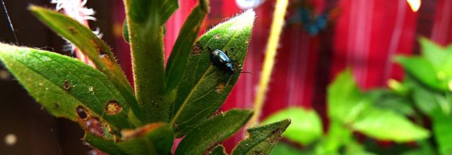 Enfin un peu de pluie!