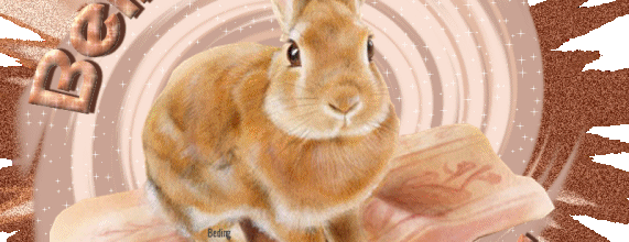 BON JEUDI A TOUS ET TOUTES