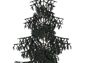 ѼVegetation