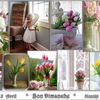 Bon Dimanche ! Printemps ...